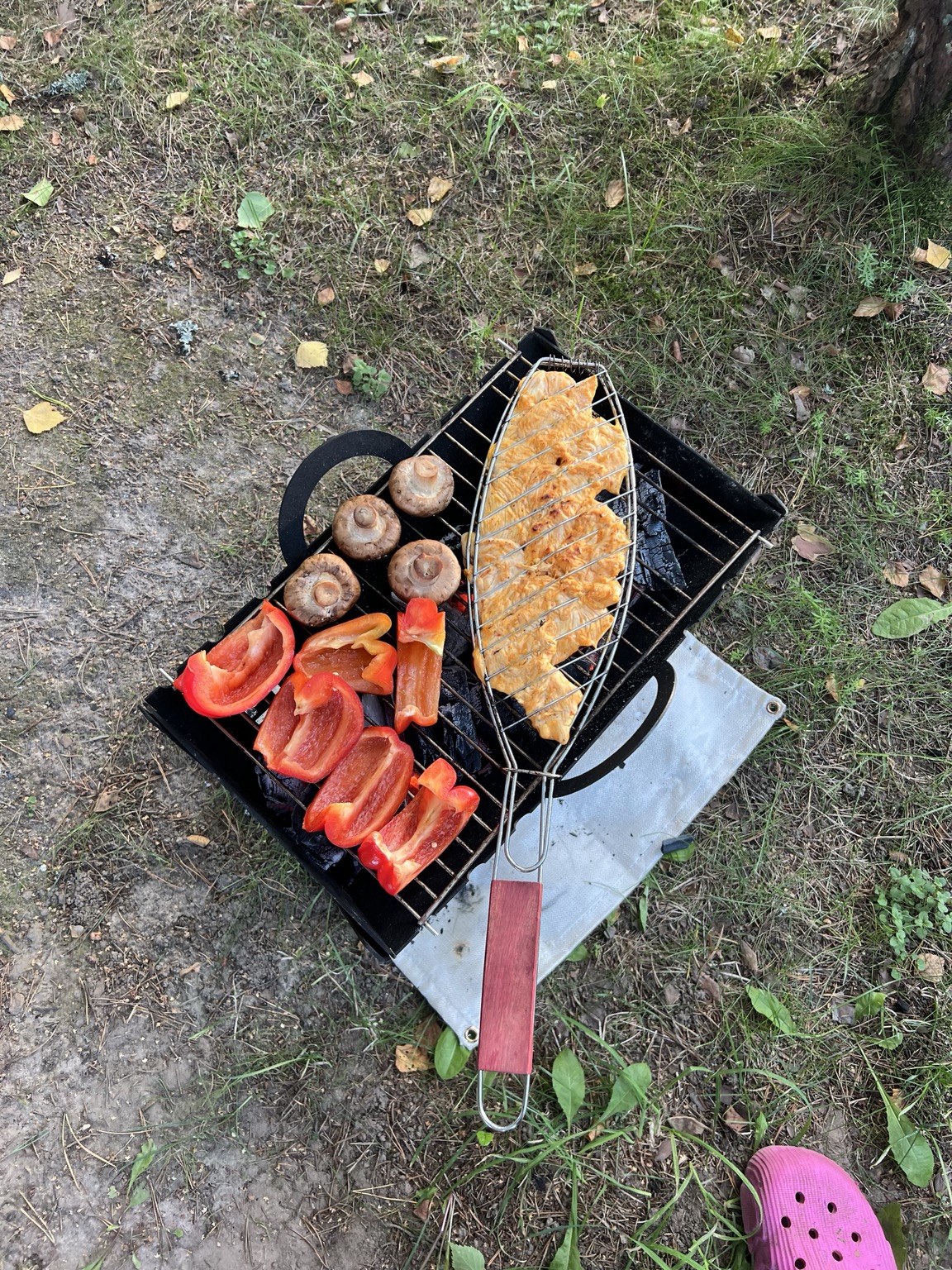 Marinated chicken fillet, red peppers and mushrooms cooking on a campsite grill, with a pink Croc visible beside it