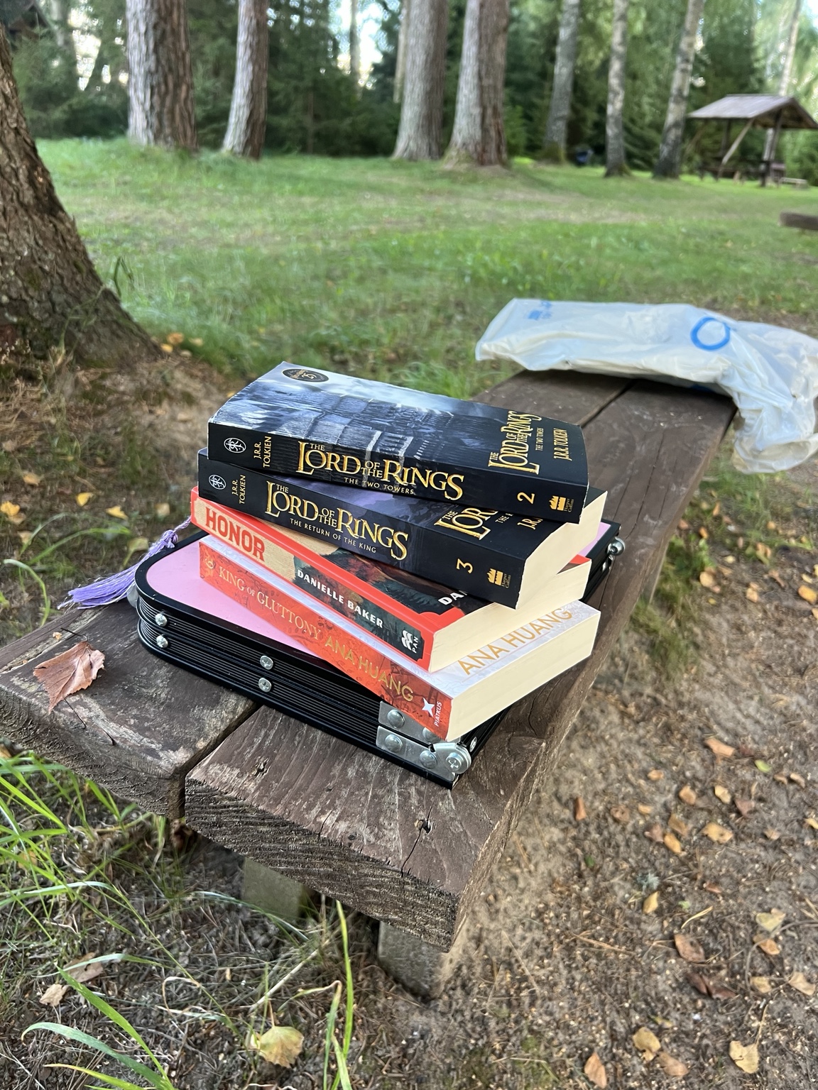 A stack of books bought for the camping trip resting on a campsite bench