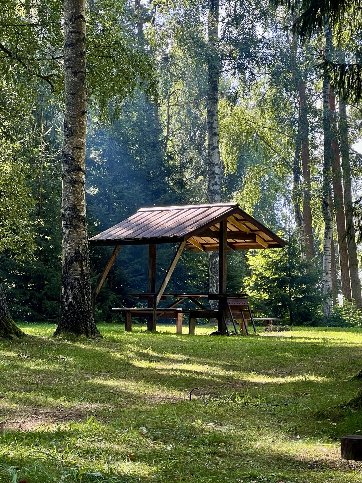 Wooden picnic shelter surrounded by sunlit birch and pine trees at Ezermaļi
