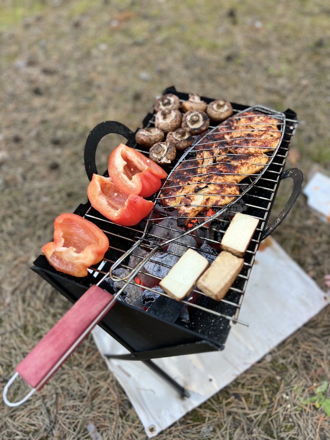 Marinated chicken, paprika, mushrooms and tofu cooking on a small campsite grill