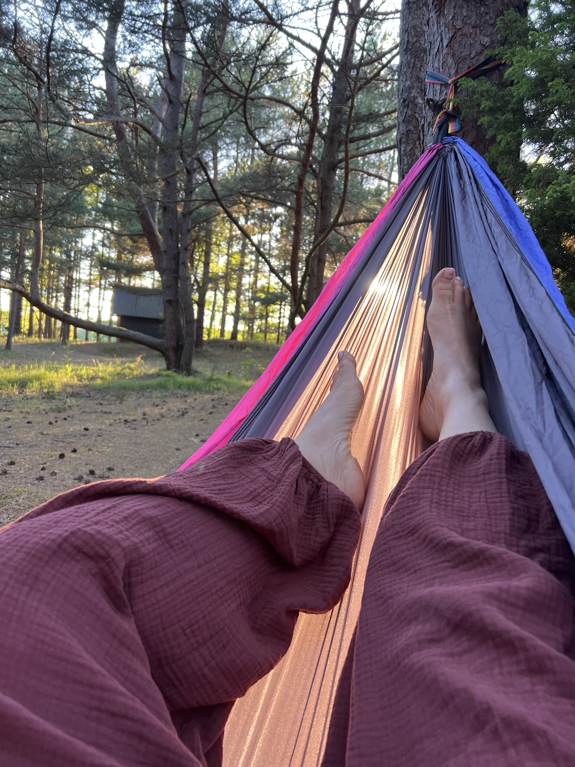 Relaxing in a hammock among the pines at Miera Osta
