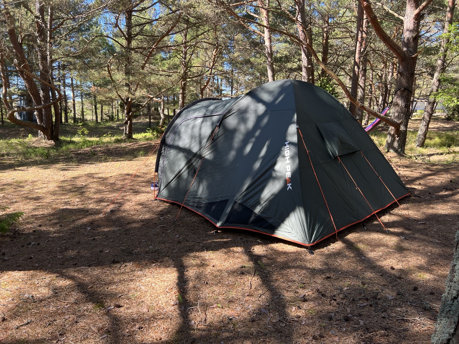 A large tent pitched beneath pine trees at Miera Osta