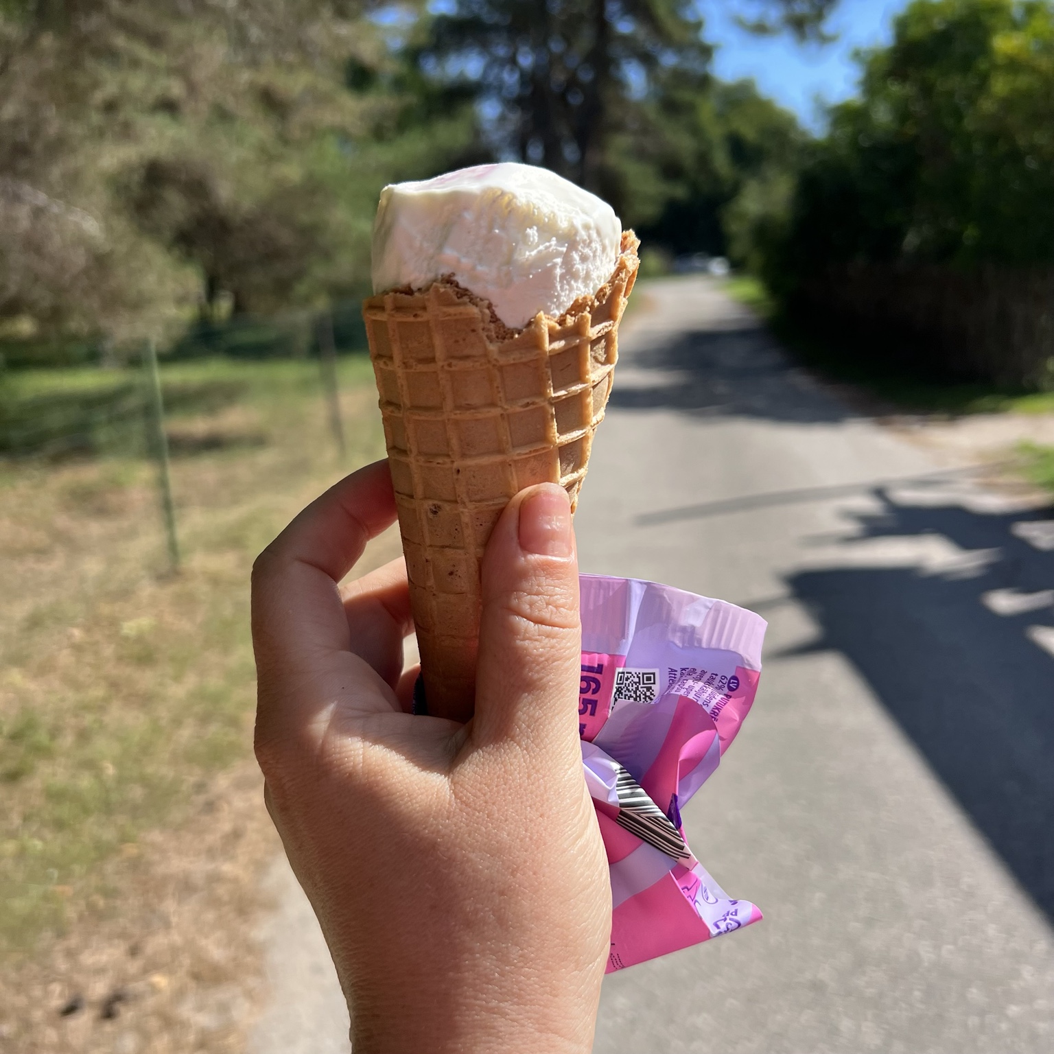 An ice cream cone bought from Citro in Gipka
